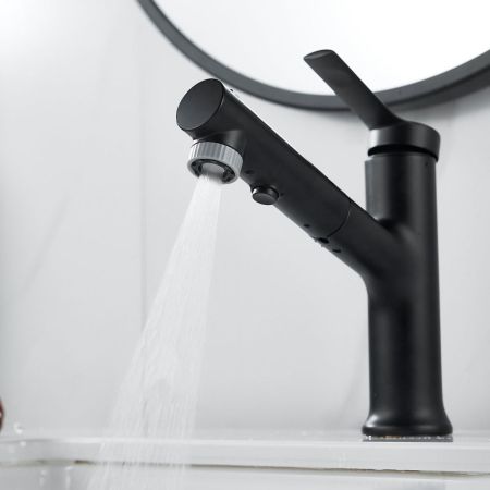 Смеситель для раковины многофункциональный Raffine F281H, черный, артикул F281H