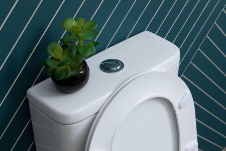 Чаша напольного унитаза Aquanet Rimless Roll 2-C CL-12289, артикул Roll 2-C