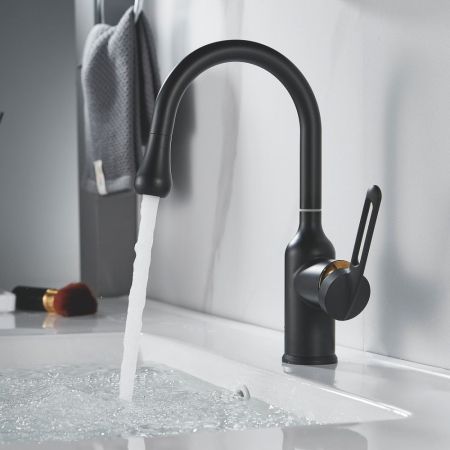 Смеситель для раковины Raffine F101H, черный