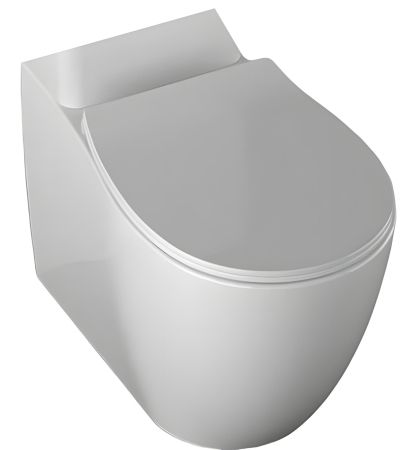 Чаша напольного унитаза Allen Brau Fantasy 4.11009.20 белый глянец, артикул 4.11009.20