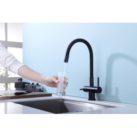 Смеситель для кухни с подключением фильтра Splenka S70.64.06, черный
