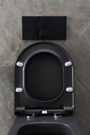 Чаша подвесного унитаза Allen Brau Priority 4.31002.AN антрацит, артикул 4.31002.AN