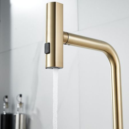 Смеситель для кухни с мультифункциональным изливом Raffine F203G, золотой сатин