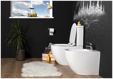 Чаша напольного унитаза Aquanet Rimless Cetus-C1 BL-102N-TPT