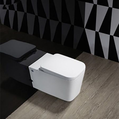 Унитаз Cerutti SPA C-370C 7281 с импульсным смывом с инсталляцией с сиденьем Микролифт