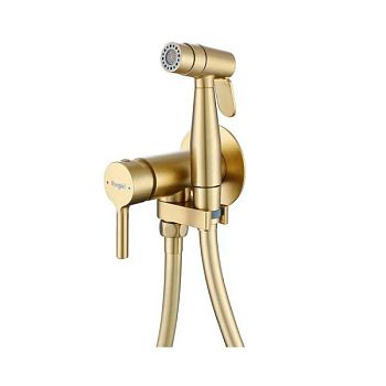 Гигиенический душ со смесителем встраиваемый Raglo R20.54.03, сатин золотой