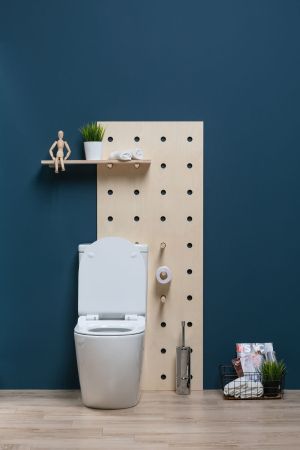 Чаша напольного унитаза Aquanet Rimless Cetus-C1 BL-102N-TPT