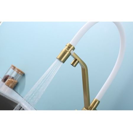 Смеситель для кухни с подключением фильтра Raglo R85.62.03, золотой сатин