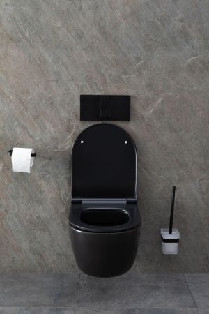 Чаша подвесного унитаза Allen Brau Priority 4.31002.31 черный матовый, артикул 4.31002.31