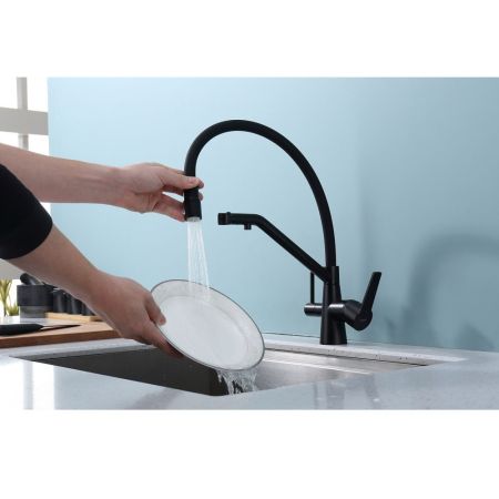 Смеситель для кухни с подключением фильтра Raglo R80.62.06, черный, артикул R80.62.06