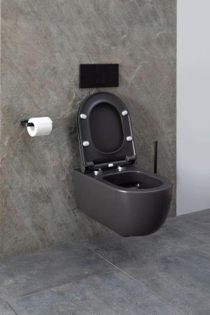 Чаша подвесного унитаза Allen Brau Priority 4.31001.AN антрацит, артикул 4.31001.AN