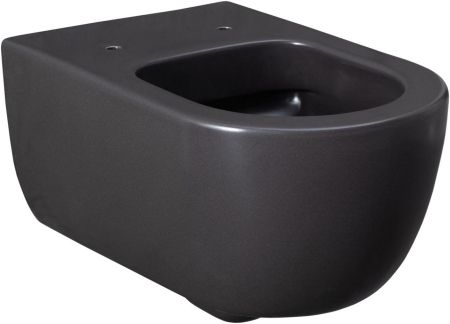 Чаша подвесного унитаза Allen Brau Priority 4.31001.AN антрацит, артикул 4.31001.AN