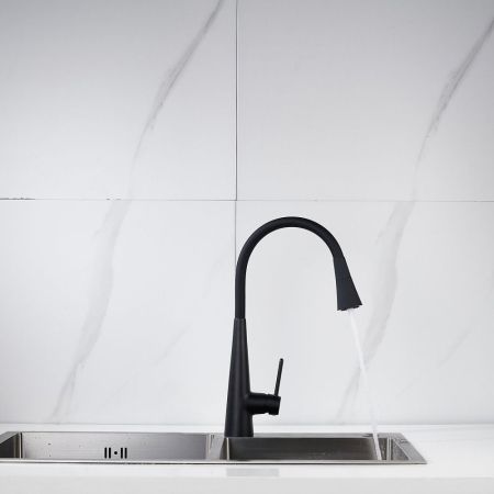 Смеситель для кухни с гибким изливом и режимом "душ" Rose R213H, черный