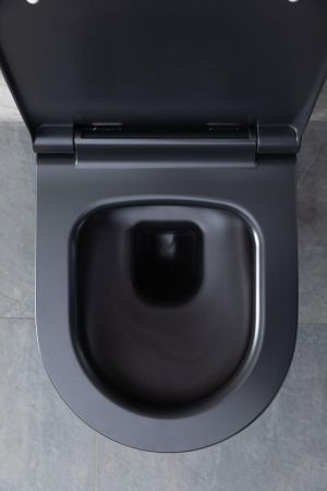 Чаша подвесного унитаза Allen Brau Priority 4.31001.31 черный матовый, артикул 4.31001.31