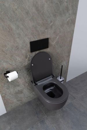 Чаша подвесного унитаза Allen Brau Priority 4.31001.AN антрацит, артикул 4.31001.AN