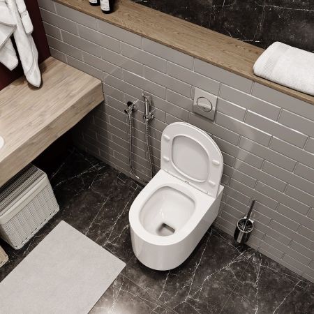 Унитаз TANARO Aria подвесной безободковый  Cerutti SPA CT8910, артикул CT8910