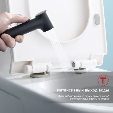 Гигиенический душ со смесителем Raglo R03.53.06, черный