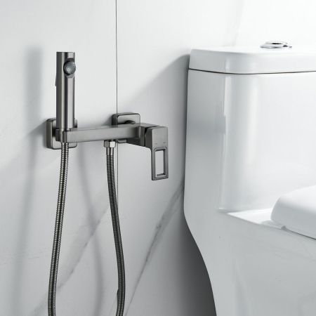 Гигиенический душ со смесителем Raffine F0596T-1, оружейная сталь