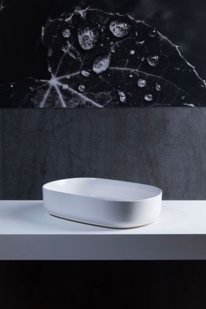 Раковина накладная Allen Brau Fantasy 55 4.11022.21 белый матовый, артикул 4.11022.21