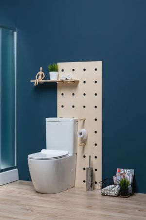 Чаша напольного унитаза Aquanet Rimless Cetus-C1 BL-102N-TPT