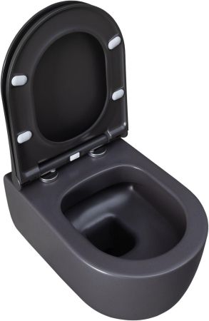 Чаша подвесного унитаза Allen Brau Priority 4.31002.AN антрацит, артикул 4.31002.AN