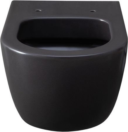 Чаша подвесного унитаза Allen Brau Priority 4.31001.AN антрацит, артикул 4.31001.AN