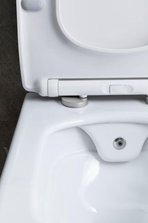 Чаша подвесного унитаза Allen Brau Liberty 4.33009.20 белый, артикул 4.33009.20