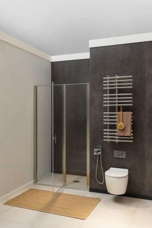 Душевая дверь Allen Brau Priority 120 3.31008.BA серебро браш, артикул 3.31008.BA