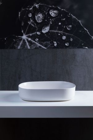 Раковина накладная Allen Brau Fantasy 55 4.11022.21 белый матовый, артикул 4.11022.21