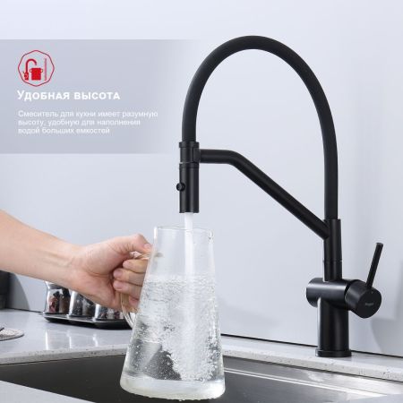 Смеситель для кухни со съемным изливом на магните Raglo R86.41.06, черный