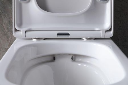 Крышка-сиденье для унитаза Allen Brau Liberty 4.33006.20 белый глянец, артикул 4.33006.20