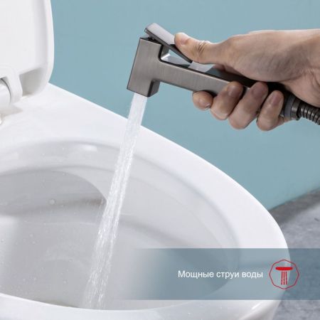 Гигиенический душ со смесителем встраиваемый с полкой и бумагодержателем Raglo R51.55.09, графит