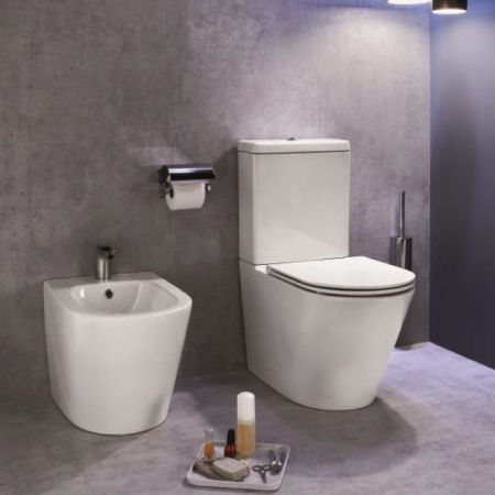 Унитаз напольный JACOB DELAFON RODIN UJAB102-00 Rim гор. вып. 66,5*36,5 (белый), шт, артикул UJAB102-00