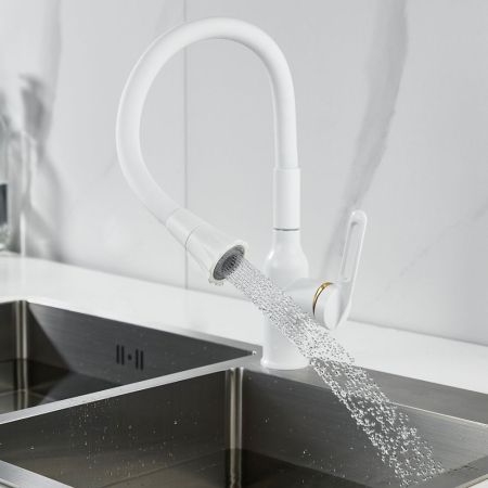 Смеситель для кухни с гибким изливом Raffine F303C-1, белый