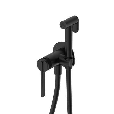 Гигиенический душ DQ Bonn встраиваемый (DA1704505), артикул DA1704505