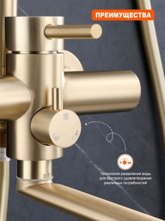 Душевая система Prohanss P31.24.03, сатин золотой