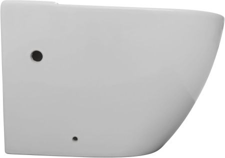 Чаша напольного унитаза Aquanet Rimless Cetus 2.0 C1 LX-2903