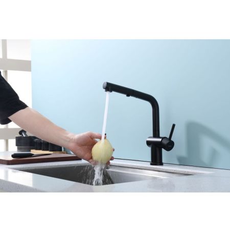 Смеситель для кухни с выдвижным изливом Raglo R86.49.06, черный, артикул R86.49.06