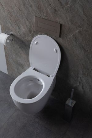 Чаша подвесного унитаза Allen Brau Fantasy 4.11HC1.20 белый глянец, артикул 4.11HC1.20