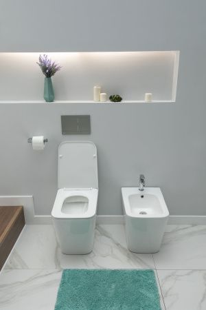 Унитаз приставной Aquanet Rimless Tavr 2.0 F LX-1908