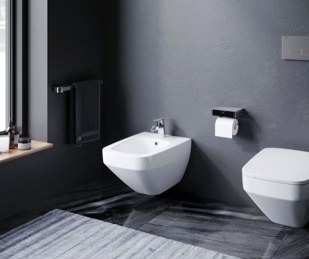 C50A3411WH Inspire V2.0 биде подвесное