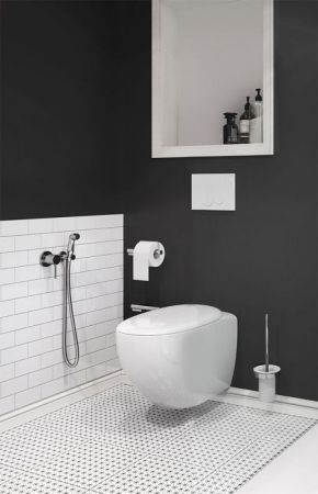 Гигиенический душ, Kludi, BOZZ, "классик" с кнопкой включения воды, встраиваемый смеситель с внутренней частью-в комплекте, шланг-есть, длина шланга, мм-1250, держатель со шланговым подсоединением DN15-в комплекте, материал-латунь, цвет-хром, артикул 389990576