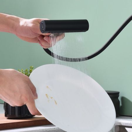 Смеситель для кухни с мультифункциональным изливом Splenka S206.49.06, черный