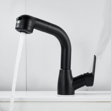 Смеситель для раковины многофункциональный Raffine F291H, черный, артикул F291H