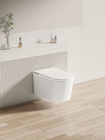 Унитаз подвесной Allen Brau Smart 4.I1001.20 белый, с функцией биде