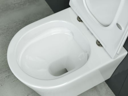 Подвесной унитаз Rimless CN3011, артикул CN3011