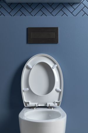 Унитаз подвесной Aquanet ZV-1 белый