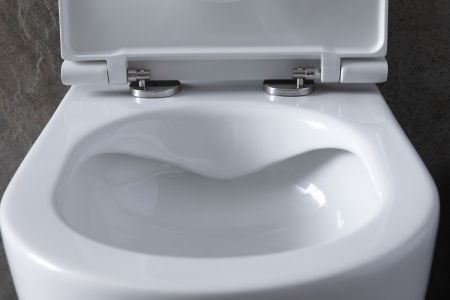 Чаша подвесного унитаза Allen Brau Reality 4.32006.20 белый глянец, артикул 4.32006.20