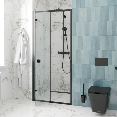 Дверь BELLA D101B душевая в нишу Cerutti SPA (100х195), артикул BELLA D101B