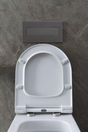 Чаша подвесного унитаза Allen Brau Priority 4.31002.20 белый глянец, артикул 4.31002.20